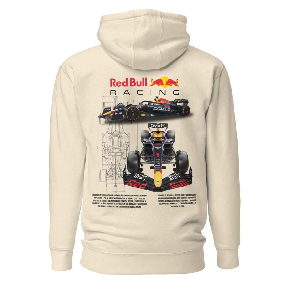 Hoodie Red Bull Racing - Espalda