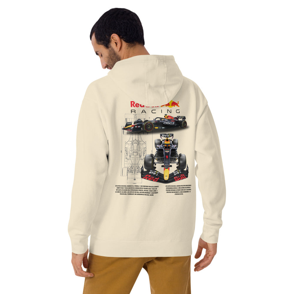 Hoodie Red Bull Racing - Modelo masculino espalda alterna