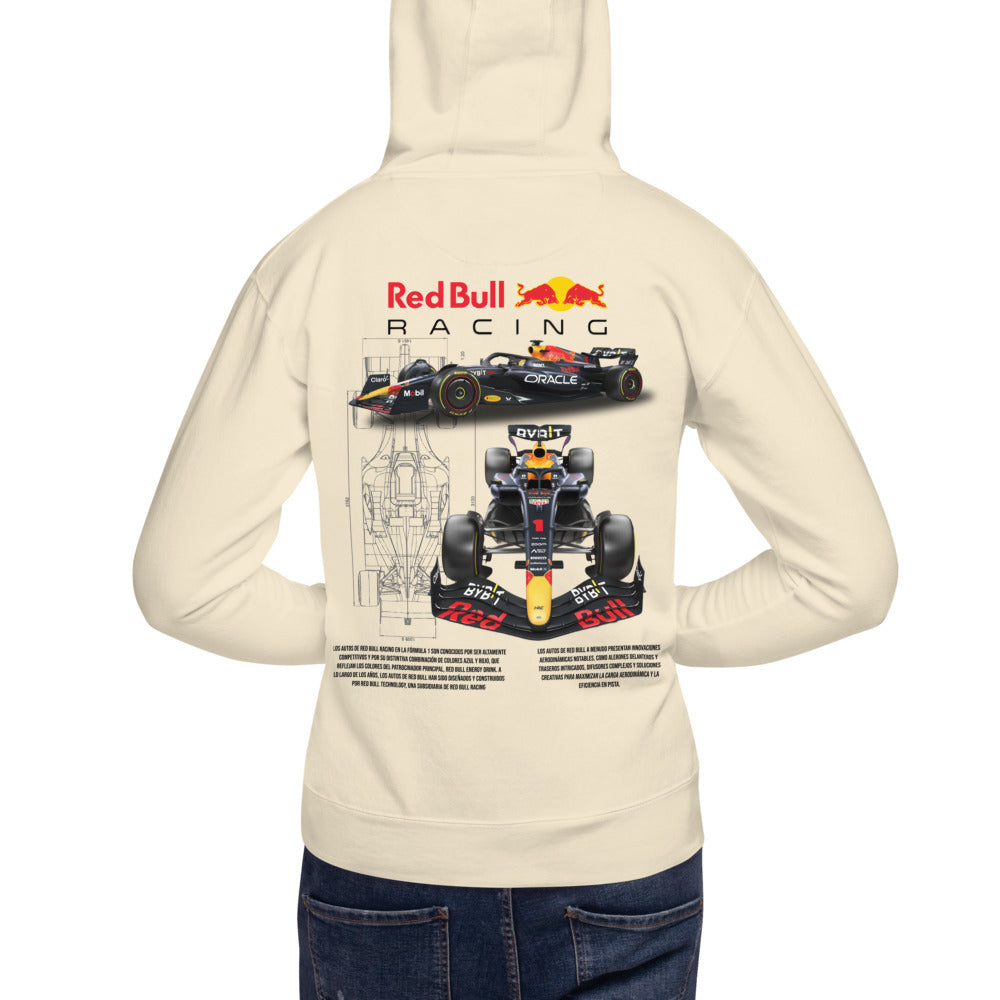 Hoodie Red Bull Racing - Modelo masculino espalda