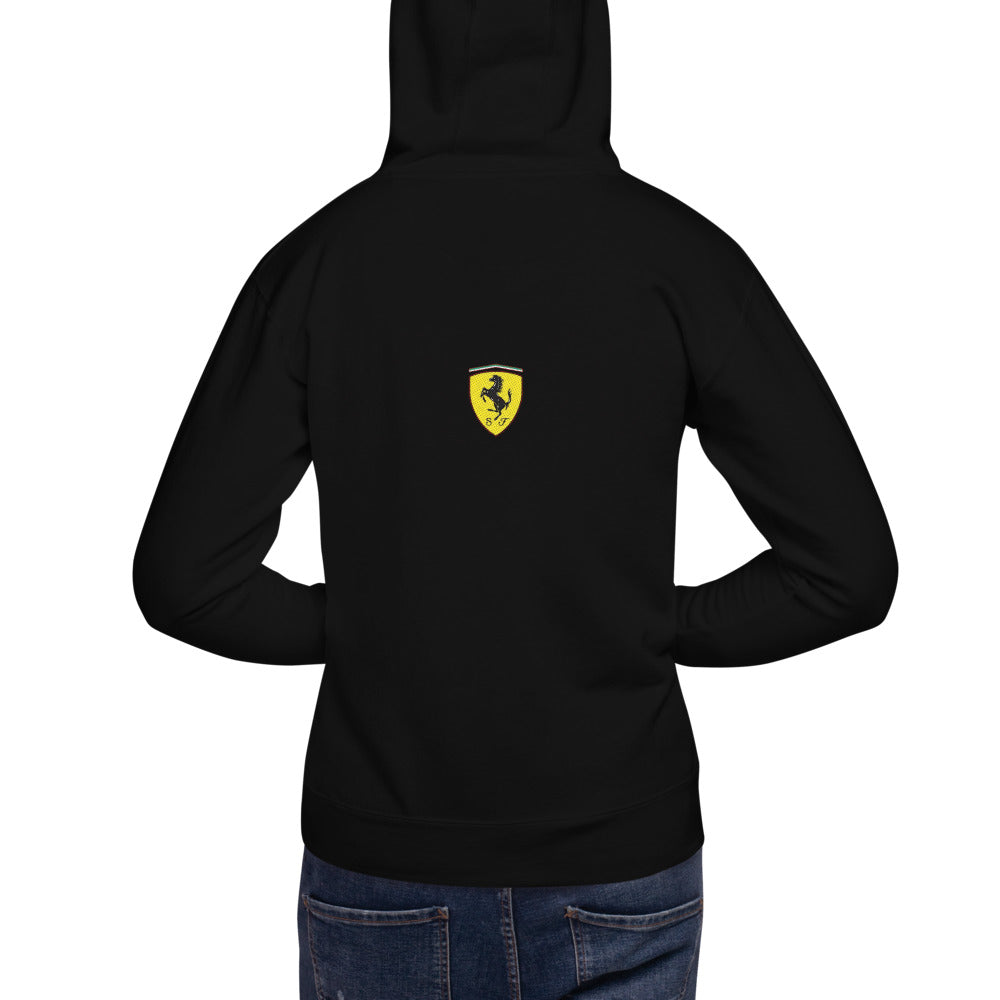 Hoodie Ferrari Team - Modelo masculino espalda