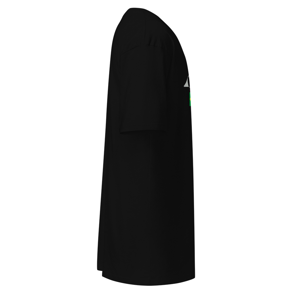 Ayrton Senna Ferrari